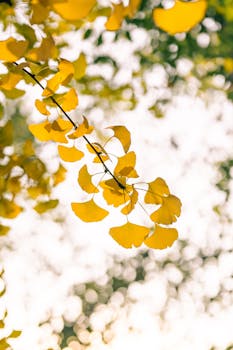 重大变数！特朗普，发出威胁！六大行业，或加征关税！ 新闻