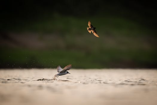 广发证券：中东地缘政治对于宏观和大类资产的影响 新闻