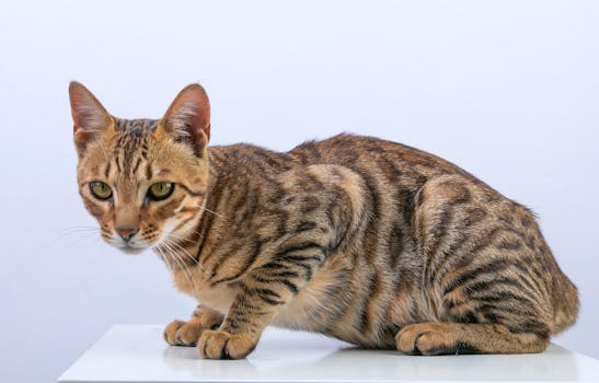 隐瞒巨额合同多年,利润数据遭大幅调整;达华智能高管集体领罚,股票即将戴帽警示。 股票财经 隐瞒巨额合同多年,利润数据遭大幅调整;达华智能高管集体领罚,股票即将戴帽警示。 股票财经 隐瞒巨额合同多年,利润数据遭大幅调整;达华智能高管集体领罚,股票即将戴帽警示。 股票财经