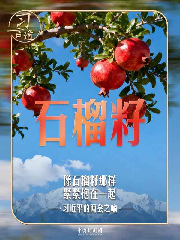  石榴籽喻意深远；民族团结根基牢；总书记反复寄语。 文化旅游