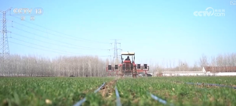  三重防线筑牢夏粮根基；主产区春管全面展开，科技助力苗情转化。 新闻 三重防线筑牢夏粮根基；主产区春管全面展开，科技助力苗情转化。 新闻