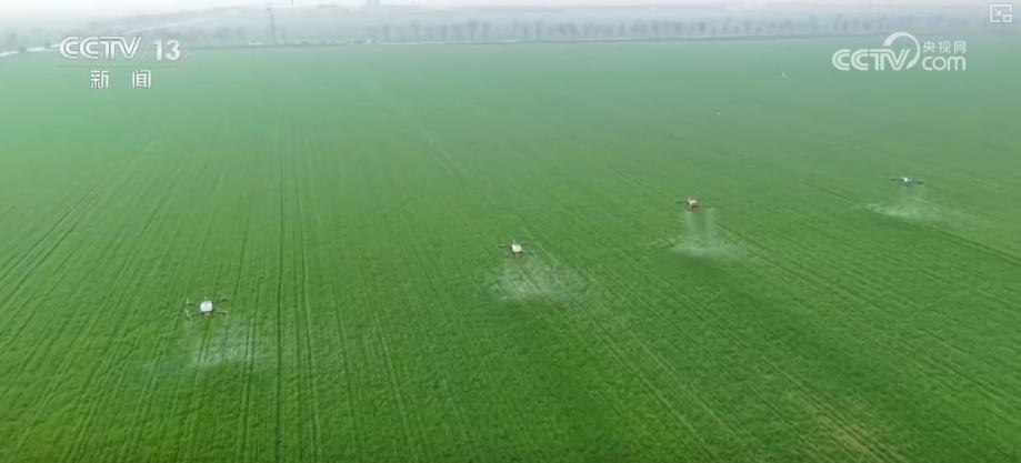  三重防线筑牢夏粮根基；主产区春管全面展开，科技助力苗情转化。 新闻 三重防线筑牢夏粮根基；主产区春管全面展开，科技助力苗情转化。 新闻