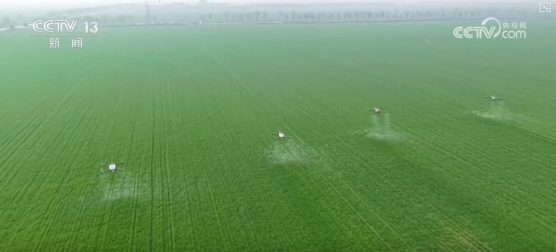 三重防线筑牢夏粮根基；主产区春管全面展开，科技助力苗情转化。 新闻 三重防线筑牢夏粮根基；主产区春管全面展开，科技助力苗情转化。 新闻