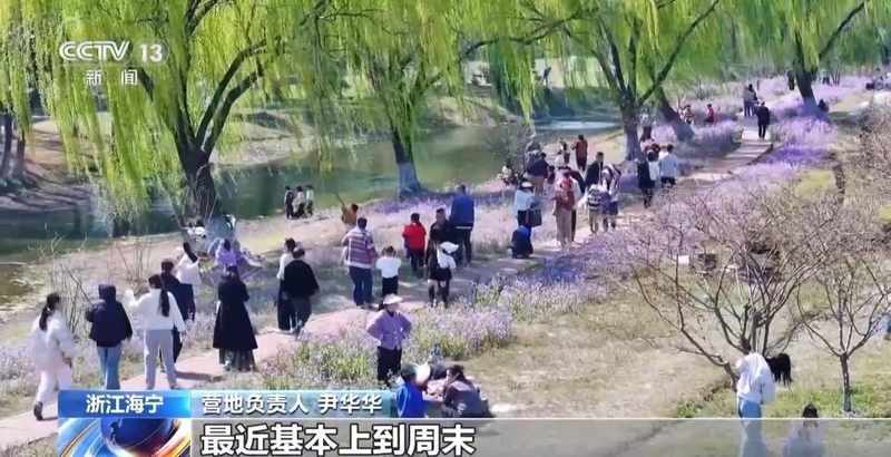  春风拂面，花海绽放；茶园采摘，春菜飘香。 文化旅游