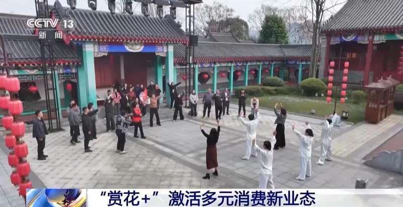  春风拂面，花海绽放；茶园采摘，春菜飘香。 文化旅游