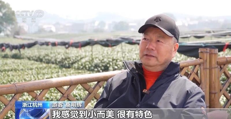  春风拂面，花海绽放；茶园采摘，春菜飘香。 文化旅游