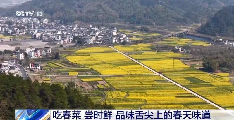  春风拂面，花海绽放；茶园采摘，春菜飘香。 文化旅游