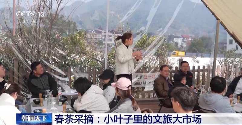  春风拂面，花海绽放；茶园采摘，春菜飘香。 文化旅游