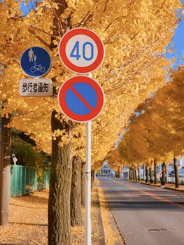  银行多渠道补充资本，优先股规模已跌破5000亿元；永续债逐步取代高成本工具，成为主流选择。 股票财经 银行多渠道补充资本，优先股规模已跌破5000亿元；永续债逐步取代高成本工具，成为主流选择。 股票财经