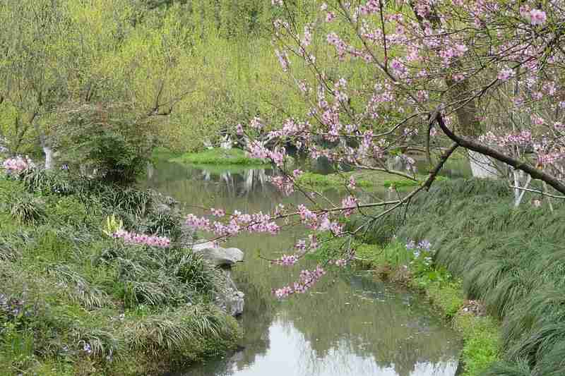 西湖重获新生,人民情怀贯穿始终;还湖于民实践,铸就为民实绩。 文化旅游