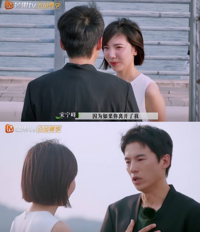  从《再见爱人》到舆论风暴：宋宁峰人设崩塌背后的深层逻辑 娱乐新闻