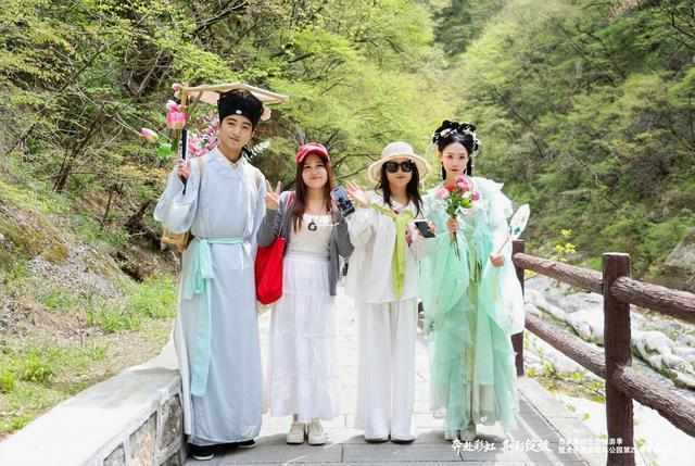  技术视角拆解：太平国家森林公园紫荆花季四大创新模块如何重塑生态旅游体验 文化旅游