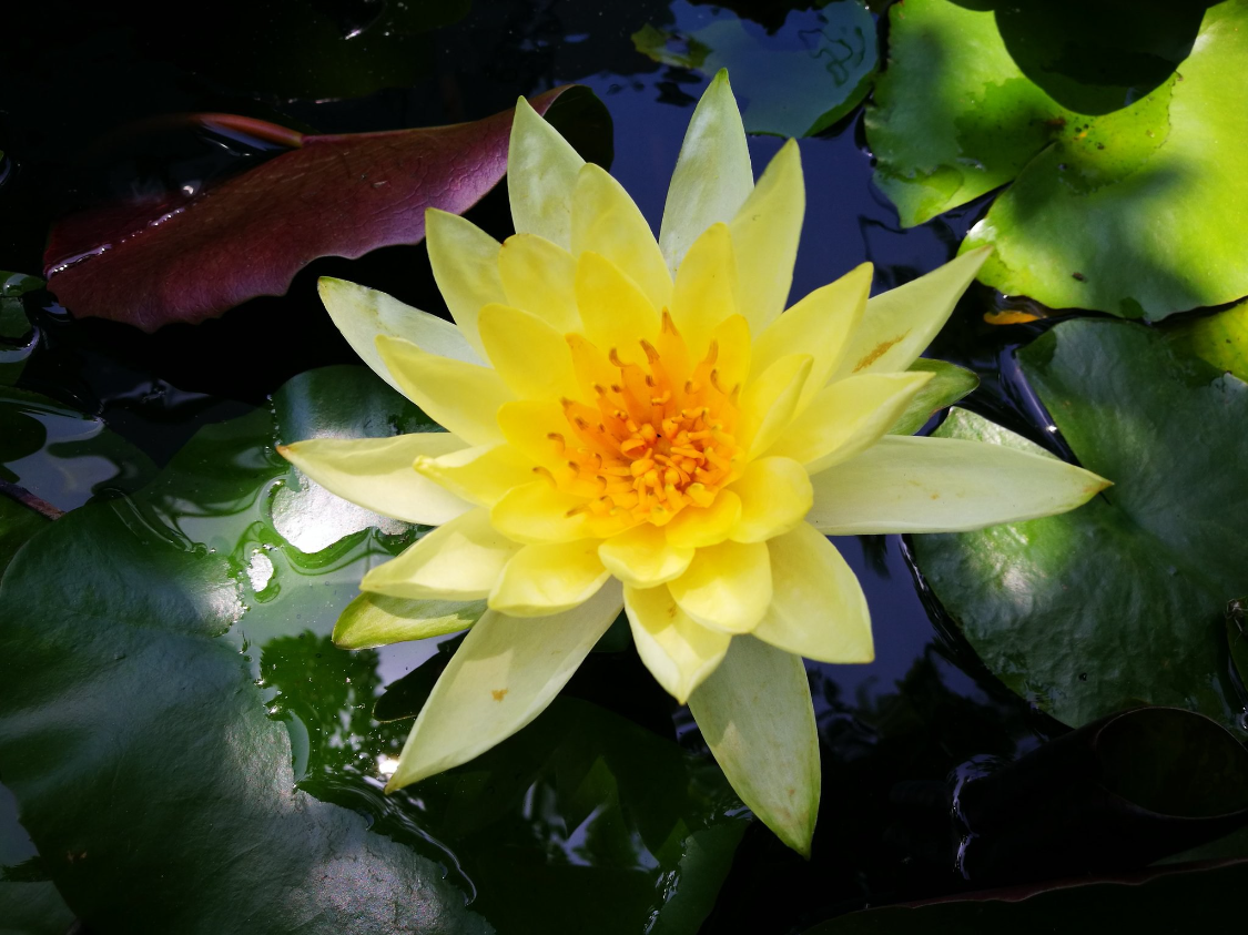  财星轨迹深度解析：三大生肖四月中旬财富跃升的底层逻辑 股票财经