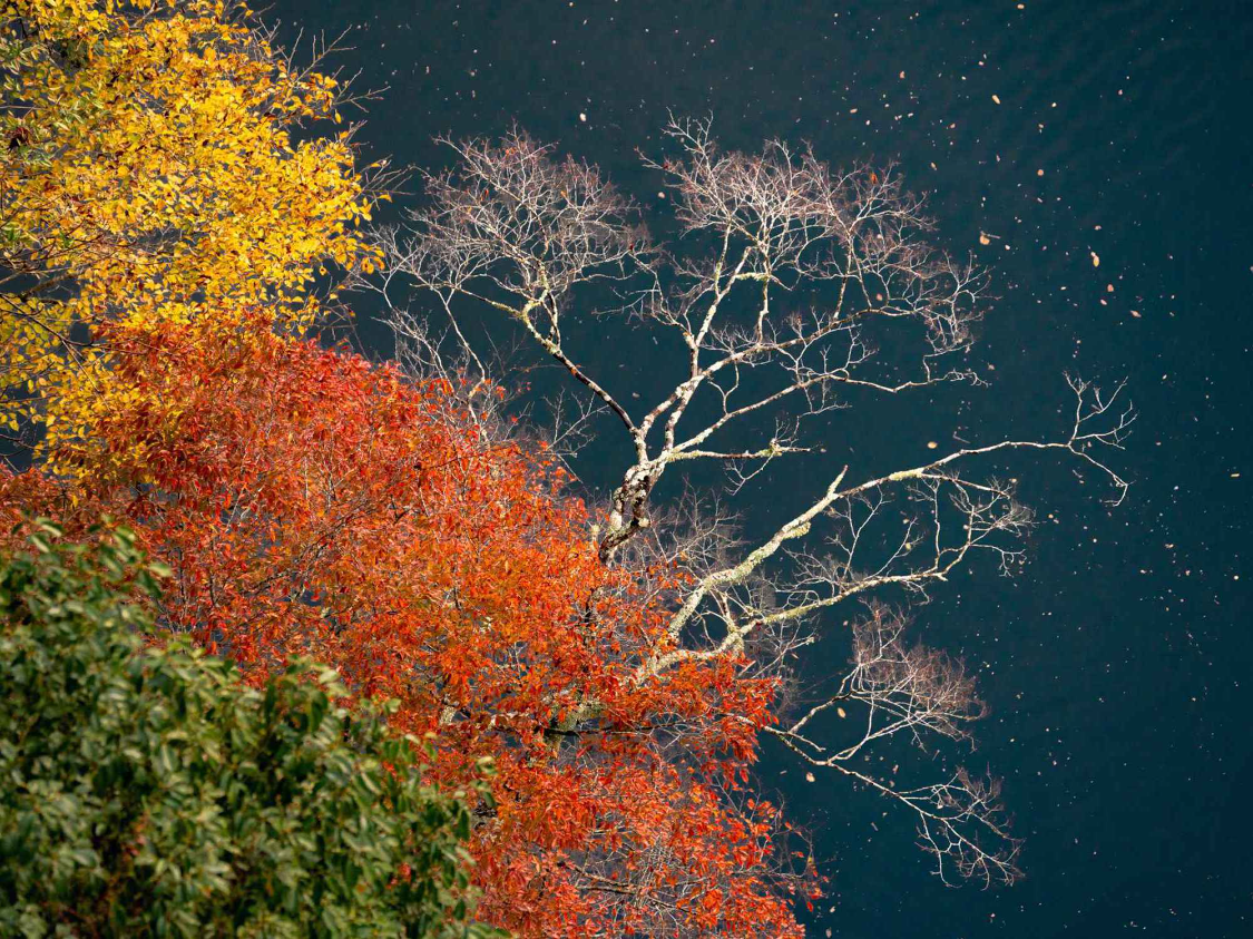  财星轨迹深度解析：三大生肖四月中旬财富跃升的底层逻辑 股票财经