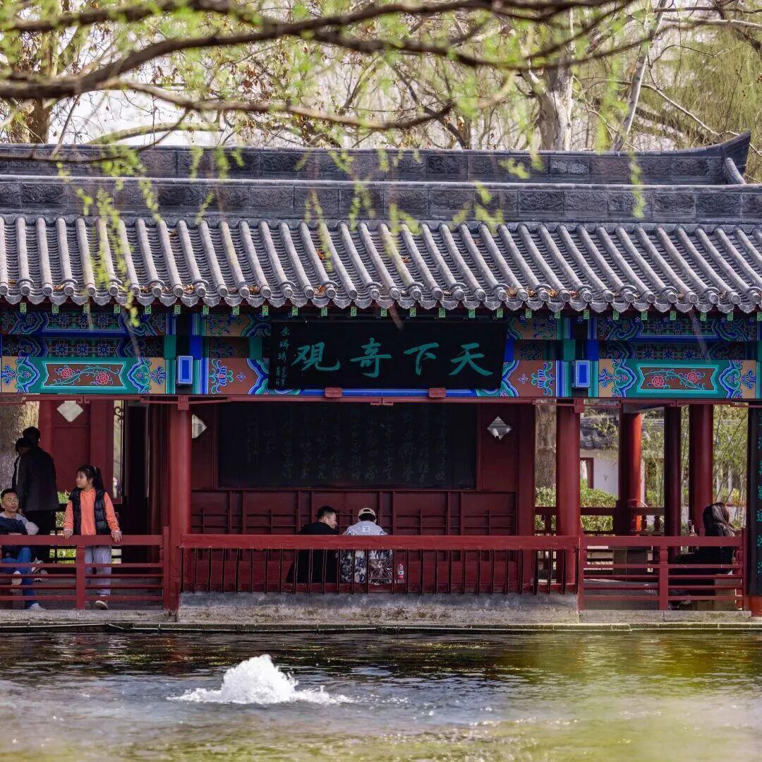  当春假成为现实：一个三口之家的期待、焦虑与破局之路 情感心理