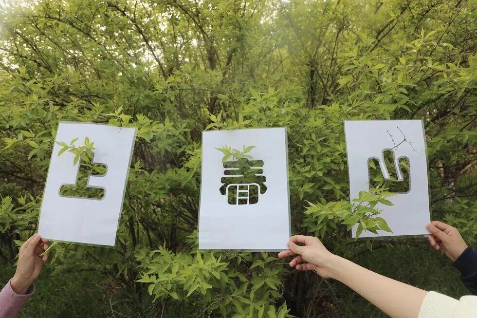  当春假成为现实：一个三口之家的期待、焦虑与破局之路 情感心理