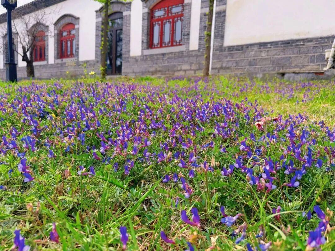  当春假成为现实：一个三口之家的期待、焦虑与破局之路 情感心理