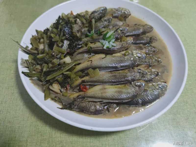 海鲜食材料学:谷雨至立夏期间的四种野生海鱼生物学特性与时令烹饪技术解析 新闻 海鲜食材料学:谷雨至立夏期间的四种野生海鱼生物学特性与时令烹饪技术解析 新闻 海鲜食材料学:谷雨至立夏期间的四种野生海鱼生物学特性与时令烹饪技术解析 新闻 海鲜食材料学:谷雨至立夏期间的四种野生海鱼生物学特性与时令烹饪技术解析 新闻 海鲜食材料学:谷雨至立夏期间的四种野生海鱼生物学特性与时令烹饪技术解析 新闻