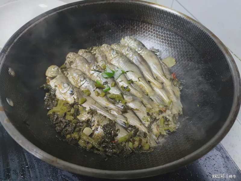 海鲜食材料学:谷雨至立夏期间的四种野生海鱼生物学特性与时令烹饪技术解析 新闻 海鲜食材料学:谷雨至立夏期间的四种野生海鱼生物学特性与时令烹饪技术解析 新闻 海鲜食材料学:谷雨至立夏期间的四种野生海鱼生物学特性与时令烹饪技术解析 新闻 海鲜食材料学:谷雨至立夏期间的四种野生海鱼生物学特性与时令烹饪技术解析 新闻 海鲜食材料学:谷雨至立夏期间的四种野生海鱼生物学特性与时令烹饪技术解析 新闻