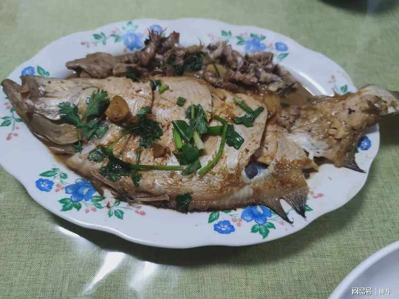 海鲜食材料学:谷雨至立夏期间的四种野生海鱼生物学特性与时令烹饪技术解析 新闻 海鲜食材料学:谷雨至立夏期间的四种野生海鱼生物学特性与时令烹饪技术解析 新闻 海鲜食材料学:谷雨至立夏期间的四种野生海鱼生物学特性与时令烹饪技术解析 新闻 海鲜食材料学:谷雨至立夏期间的四种野生海鱼生物学特性与时令烹饪技术解析 新闻 海鲜食材料学:谷雨至立夏期间的四种野生海鱼生物学特性与时令烹饪技术解析 新闻