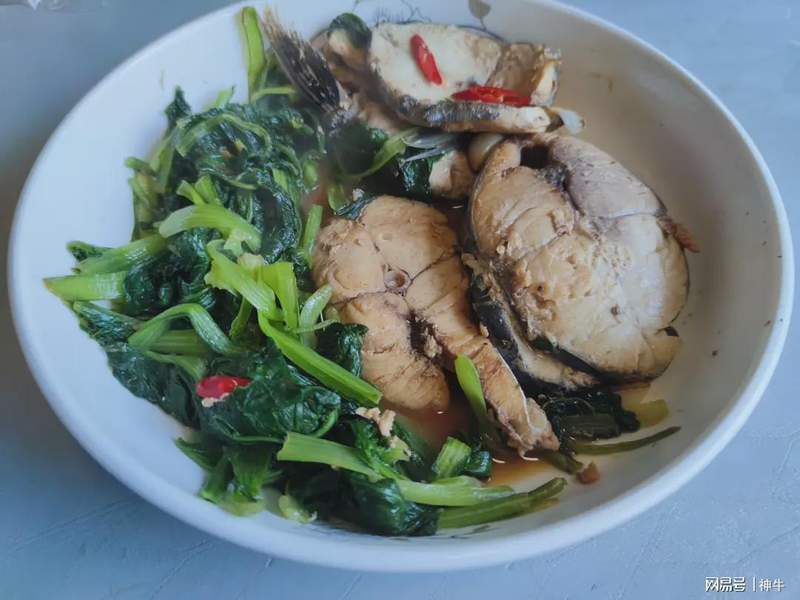 海鲜食材料学:谷雨至立夏期间的四种野生海鱼生物学特性与时令烹饪技术解析 新闻 海鲜食材料学:谷雨至立夏期间的四种野生海鱼生物学特性与时令烹饪技术解析 新闻 海鲜食材料学:谷雨至立夏期间的四种野生海鱼生物学特性与时令烹饪技术解析 新闻 海鲜食材料学:谷雨至立夏期间的四种野生海鱼生物学特性与时令烹饪技术解析 新闻 海鲜食材料学:谷雨至立夏期间的四种野生海鱼生物学特性与时令烹饪技术解析 新闻