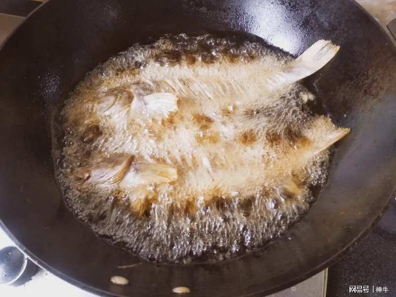 海鲜食材料学:谷雨至立夏期间的四种野生海鱼生物学特性与时令烹饪技术解析 新闻 海鲜食材料学:谷雨至立夏期间的四种野生海鱼生物学特性与时令烹饪技术解析 新闻 海鲜食材料学:谷雨至立夏期间的四种野生海鱼生物学特性与时令烹饪技术解析 新闻 海鲜食材料学:谷雨至立夏期间的四种野生海鱼生物学特性与时令烹饪技术解析 新闻 海鲜食材料学:谷雨至立夏期间的四种野生海鱼生物学特性与时令烹饪技术解析 新闻