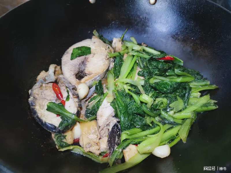 海鲜食材料学:谷雨至立夏期间的四种野生海鱼生物学特性与时令烹饪技术解析 新闻 海鲜食材料学:谷雨至立夏期间的四种野生海鱼生物学特性与时令烹饪技术解析 新闻 海鲜食材料学:谷雨至立夏期间的四种野生海鱼生物学特性与时令烹饪技术解析 新闻 海鲜食材料学:谷雨至立夏期间的四种野生海鱼生物学特性与时令烹饪技术解析 新闻 海鲜食材料学:谷雨至立夏期间的四种野生海鱼生物学特性与时令烹饪技术解析 新闻