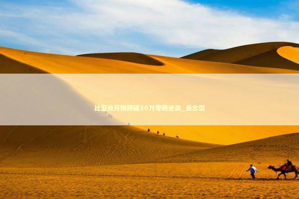 比亚迪月销跌破20万零跑逆袭_悬念型 新闻