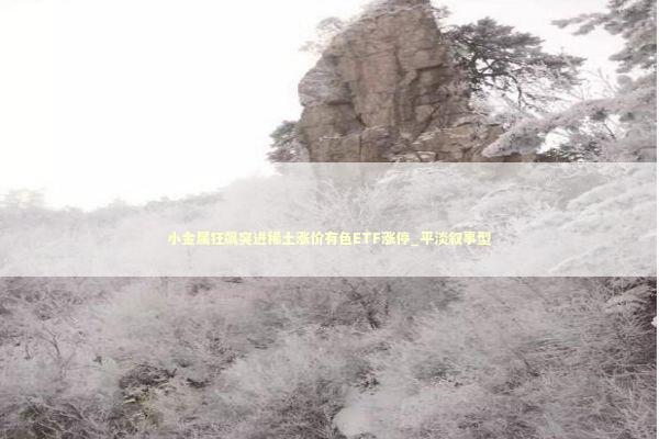 小金属狂飙突进稀土涨价有色ETF涨停_平淡叙事型 新闻