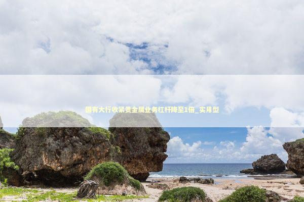 国有大行收紧贵金属业务杠杆降至1倍_实用型 新闻