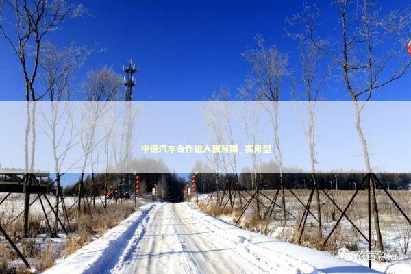 中德汽车合作进入蜜月期_实用型 新闻