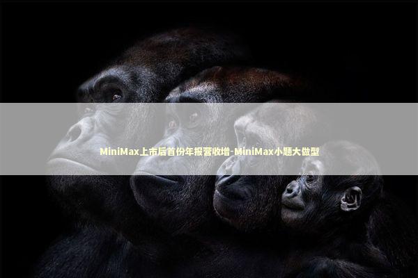 MiniMax上市后首份年报营收增-MiniMax小题大做型 新闻