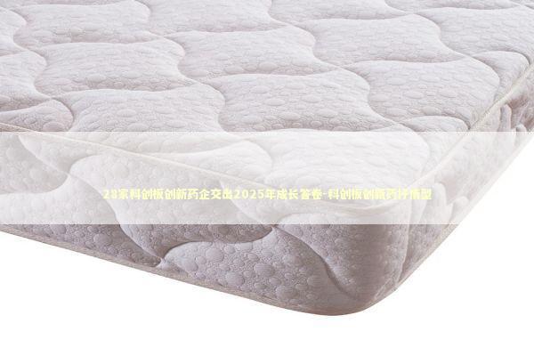 28家科创板创新药企交出2025年成长答卷-科创板创新药抒情型 新闻