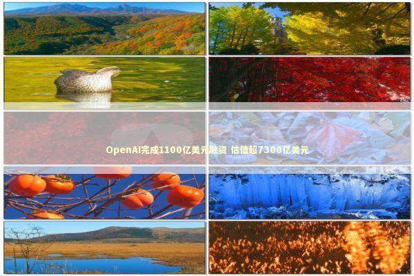 OpenAI完成1100亿美元融资 估值超7300亿美元 新闻