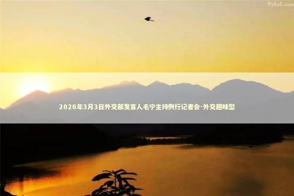 2026年3月3日外交部发言人毛宁主持例行记者会-外交趣味型 新闻