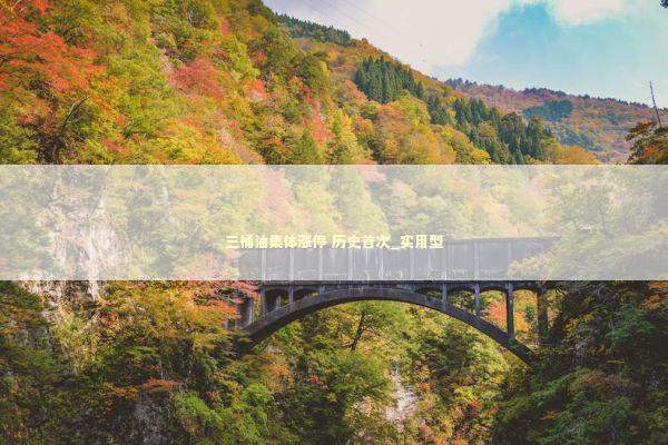 三桶油集体涨停 历史首次_实用型 新闻