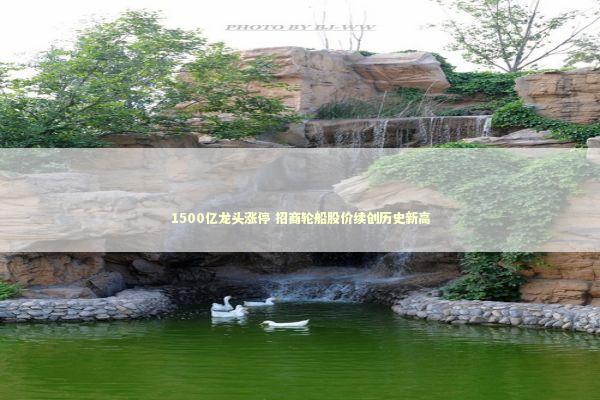 1500亿龙头涨停 招商轮船股价续创历史新高 新闻