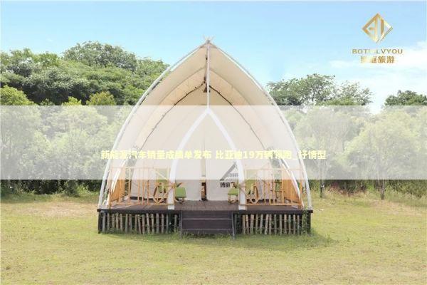 新能源汽车销量成绩单发布 比亚迪19万辆领跑_抒情型 新闻