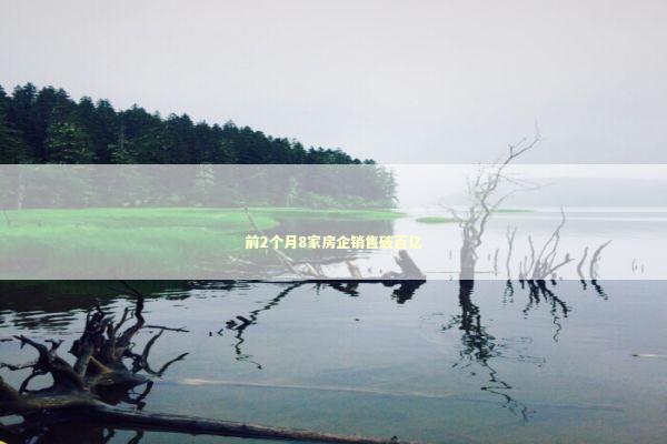 前2个月8家房企销售破百亿 新闻