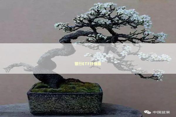 银行ETF抒情版 新闻