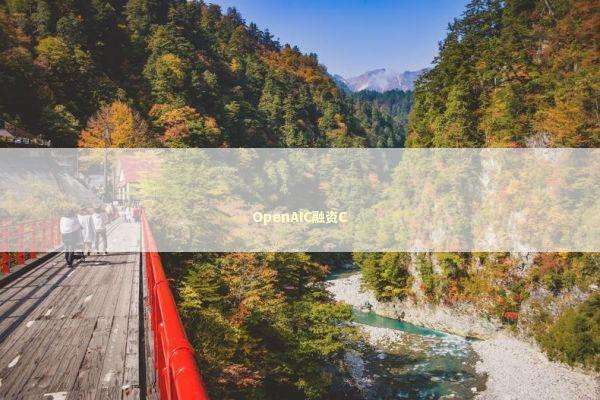 OpenAIC融资C 新闻