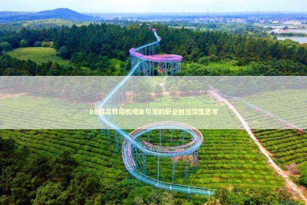 00后高铁司机现象引发的职业担当深度思考 新闻