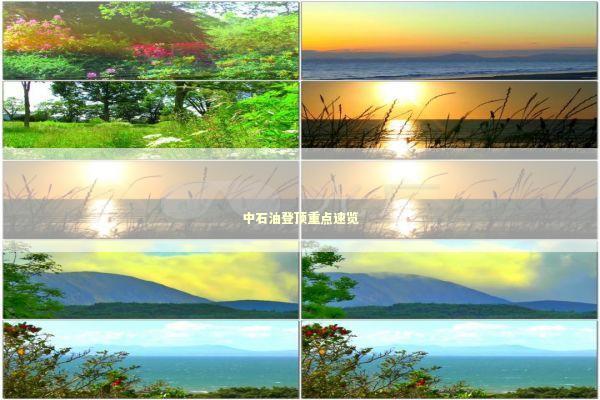 中石油登顶重点速览 新闻