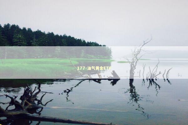 177-油气黄金ETF 新闻