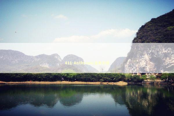 411-Anthropic五角大楼 新闻