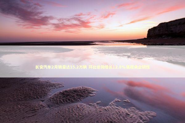 长安汽车2月销量达15.2万辆 环比逆势增长12.8%展现央企韧性 新闻
