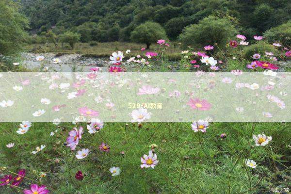 529-AI教育 新闻