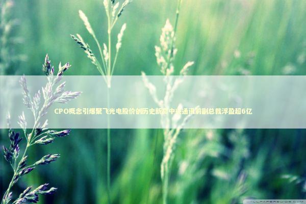 CPO概念引爆聚飞光电股价创历史新高中兴通讯前副总裁浮盈超6亿 新闻