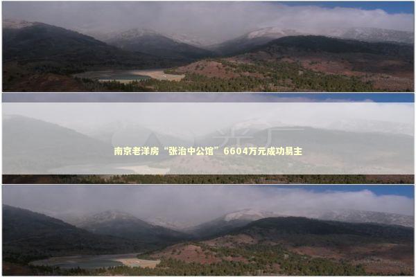 南京老洋房“张治中公馆”6604万元成功易主 新闻