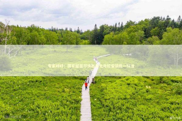 专家呼吁：国家层面尽快出台充电桩安装统一标准 新闻